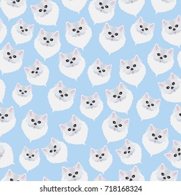 White Persian cats pattern background. Seamless pattern design. 