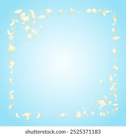 White Petal Fall Vector Blue Background. Gold Beauty Flower Template. Yellow Cherry Spring Cover. Delicate Sakura Japan Backdrop. Summer Lotus Frame.