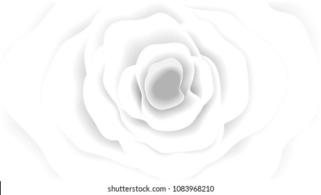 White petal rose vector background