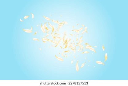 White Petal Summer Vector Blue Background. Light Japan Flower Texture. Gold Rose Japanese Pattern. Beige Sakura Fall Design. Spring Peach Backdrop.