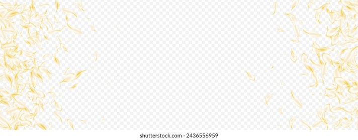White Petal Tender Vector Panoramic Transparent Background. Yellow Japanese Sakura Frame. Delicate Floral Japan Texture. Light Lotus Beauty Cover. Flying Cherry Backdrop.