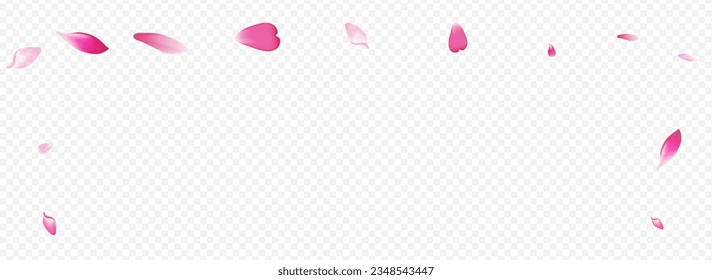 White Petal Vector Panoramic Transparent Background. Blooming Garden Template. Apple Marriage Card. Bloom Blow Texture. Color Confetti Isolated Illustration.