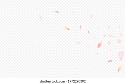 White Petal Vector Transparent Background. Confetti Down Cover. Apple Blur Poster. Flower Fall Card. Red Rosa March Backdrop.