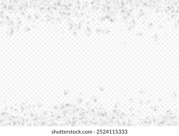 White Petal Vector Transparent Background. Gray Summer Floral Banner. Flying Peach Pattern. Delicate Rose Fly Texture.