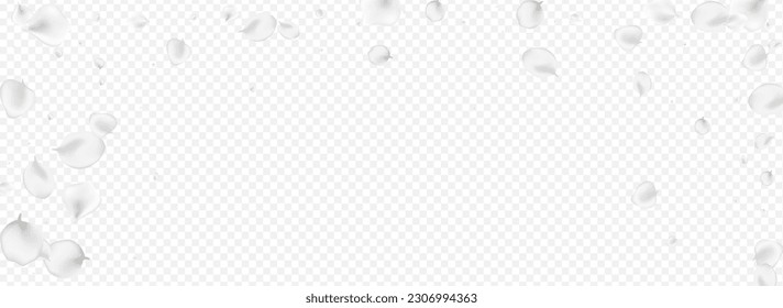 White Petal Vector Transparent Panoramic Background. Pastel Beauty Flower Frame. Japanese Sakura Banner. Snowy Rose Flying Cover.