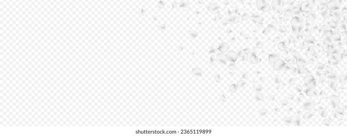 White Petal Vector Transparent Panoramic Background. Gray Tender Sakura Pattern. Japanese Cherry Banner. Pastel Peach Fall Cover.