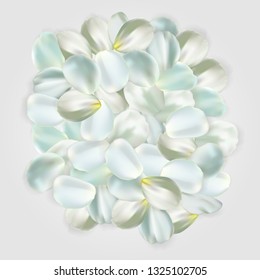 White petals isolated on pale background. For greeting card, wallpaper, flyers, posters or wedding invitation background party design. Vector illustration.