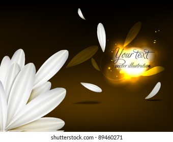 White petals on a dark background scattered around glowing lights / design layout