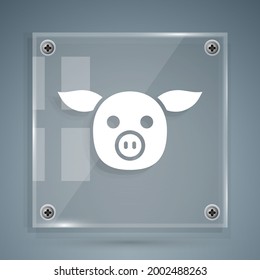 White Pig icon isolated on grey background. Animal symbol. Square glass panels. Vector