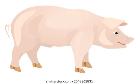 Cerdo blanco aislado. Ilustración vectorial