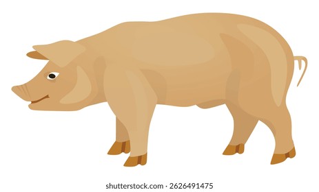 White pig isolated. vector illustration