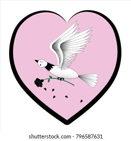 The white pigeon bears a black rose