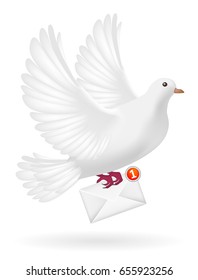 white pigeon bird sending white envelope letter