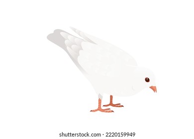 White pigeon dove bird symbol of peace vector illustration cartoon animal design isolated on white background