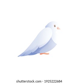 White pigeon dove composition with isolated flat image of bird with wings vector illustration