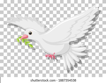 White pigeon flying with green twig olive isolated on transparent background illustration