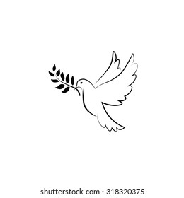 White pigeon flying peace symbol