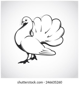 White pigeon isolated. Dove Of Peace. Hand drawn brushstroke dove. Ink painting style. Line art for logo and design.
