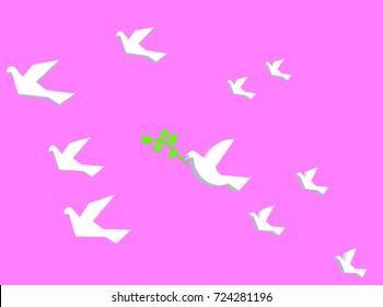  white pigeon in pink background finding for peace