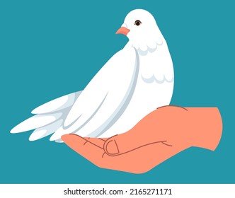 White pigeon sitting on hand, peace and tranquility, hope for better times. Charity and donation symbol. Peacefulness emblem or decoration. Holy spirit and modern sign. Vector in flat style