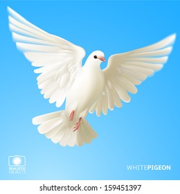 White Pigeon, Version 2.0