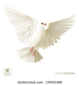 White Pigeon, Version 2.0, Isolated