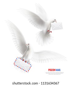 White pigeons set with pigeon mail symbols realistic isolated vector illustration