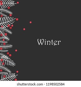White pine leaves and red berries on background for decoration on Christmas holiday events.