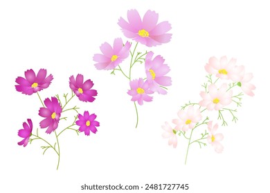 White, pink, dark pink. Three color cosmos illustration