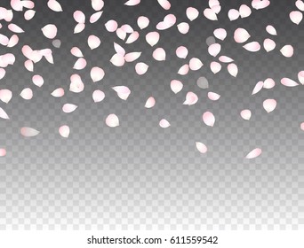 White and pink falling cherry or rose flower petals isolated on transparent background. Vector flying sakura blossom effect for Women, Mother Day, wedding, birthday or spring greeting card design
