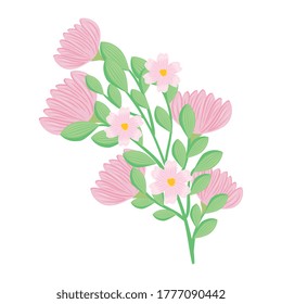 white and pink flowers with leaves design, natural floral nature plant ornament garden decoration and botany theme Vector illustration