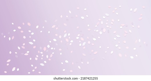 White Pink flying petals isolated on soft Purple gradient background. Sakura Roses petals. Vector