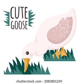 White and pink Goose. Cute vector illustration in simple hand-drawn cartoon style. Cute cartoon ducks. Character bird with texture