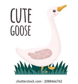 White and pink Goose. Cute vector illustration in simple hand-drawn cartoon style. Cute cartoon ducks. Character bird with texture