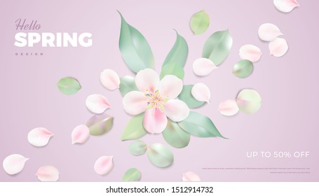 White and pink pastel background with spring flowers. Apple tree blossom petals on the table vector banner template design