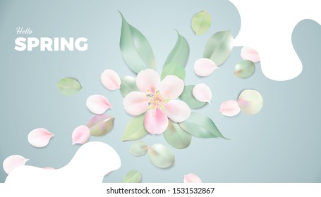 White and pink pastel background with spring flowers. Apple tree blossom petals on the table vector banner template design