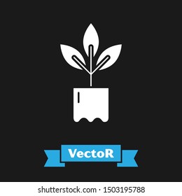 White Plant in bottle icon isolated on black background. Seed and seedling. Leaves sign. Leaf nature.  Vector Illustration