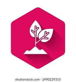 White Plant icon isolated with long shadow. Seed and seedling. Leaves sign. Leaf nature. Pink hexagon button. Vector