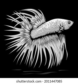 Vector de pescado blanco aislado en fondo en blanco