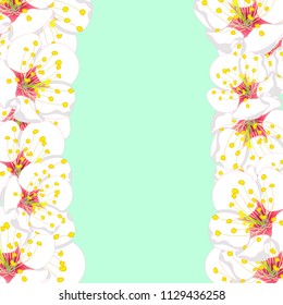 White Plum Blossom Flower Border isolated on Green Mint Background. Vector Illustration.