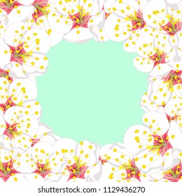 White Plum Blossom Flower Border isolated on Green Mint Background. Vector Illustration.