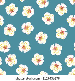 White Plum Blossom Flower Seamless on Blue Background. Vector Illustration.