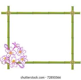 White plumeria and bamboo frame