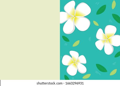 White Plumeria flowers and free space on the left