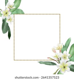 white plumeria with green leaves and buds and a golden frame on a white background.Close-up, isolated.The design element