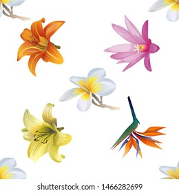 White Plumeria. Orange Daylily. Purple Hatiora. Yellow Lilium. Orange Strelitzia Reginae. Vector illustration. Seamless background pattern. Floral botanical flower. Wild leaf wildflower isolated.