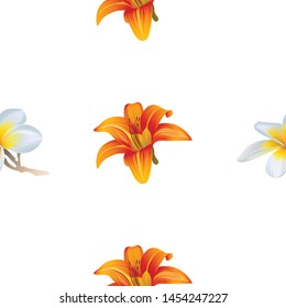 White Plumeria. Orange Daylily. Vector illustration. 