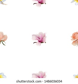 White Plumeria. Pink Rose. Pink Magnolia. Vector illustration. Seamless background pattern. Floral botanical flower. Wild leaf wildflower isolated. Exotic tropical hawaiian jungle. Vector.