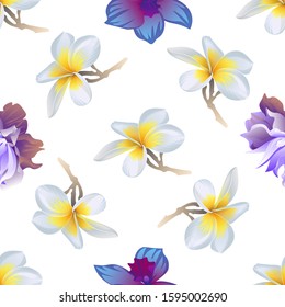 White Plumeria. Violet Clematis. Vector illustration. Seamless background pattern. Floral botanical flower. Wild leaf wildflower isolated. Exotic tropical hawaiian jungle. Fabric wallpaper print.