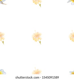 White Plumeria. Yellow hibiscus. Vector illustration. Seamless background pattern. Floral botanical flower. Wild leaf wildflower isolated. Exotic tropical hawaiian jungle. Fabric wallpaper print.